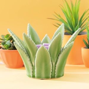 Authentic Scentsy Aloe Vera warmer